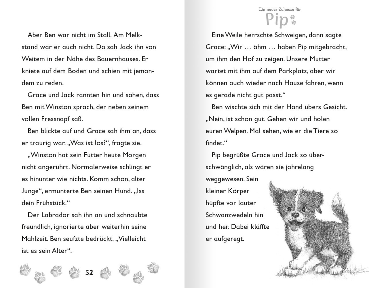 Bild: 9783741525339 | Ein neues Zuhause für Pip | Linda Chapman | Buch | 96 S. | Deutsch