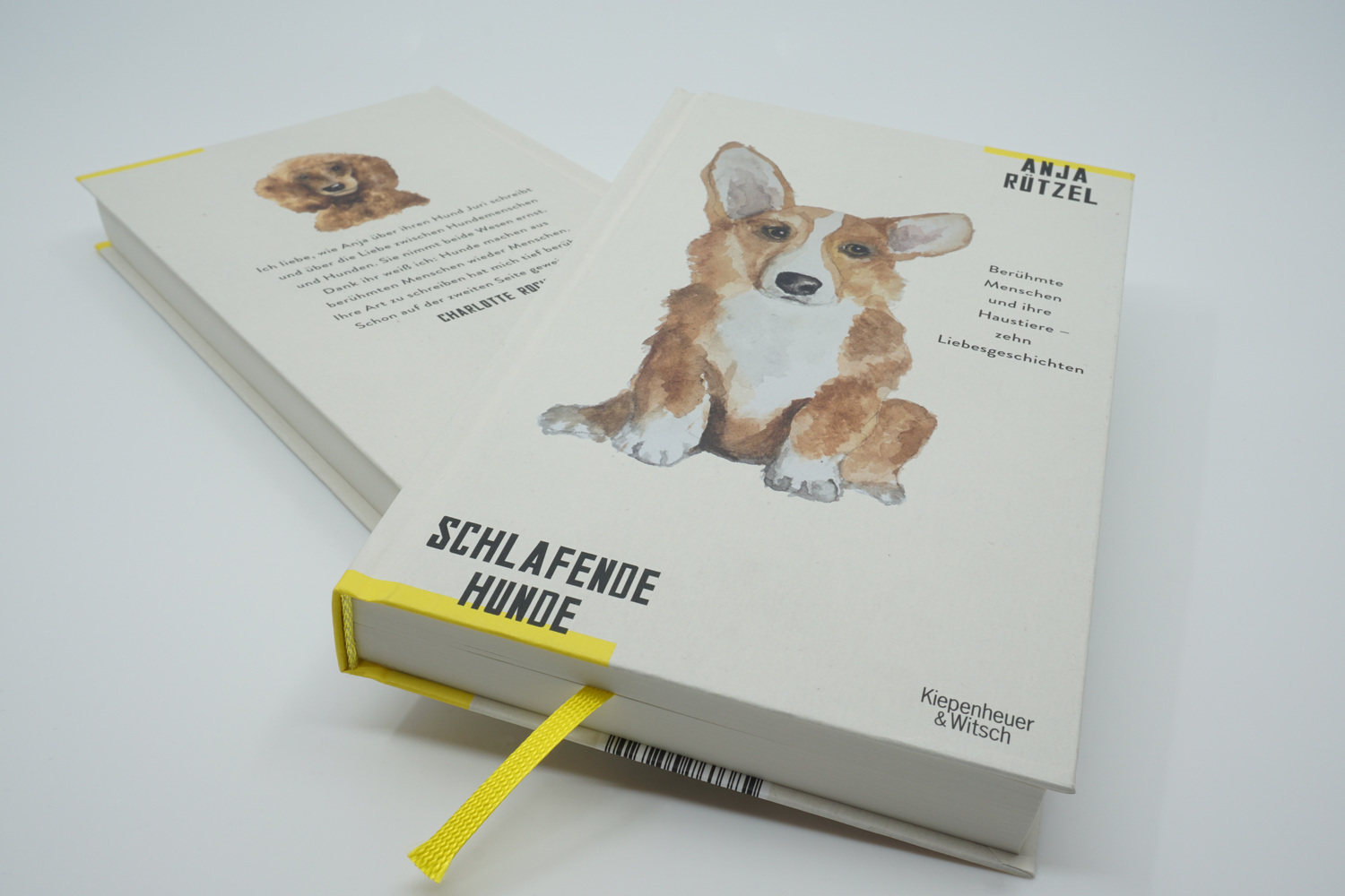 Bild: 9783462052329 | Schlafende Hunde | Anja Rützel | Buch | 272 S. | Deutsch | 2020