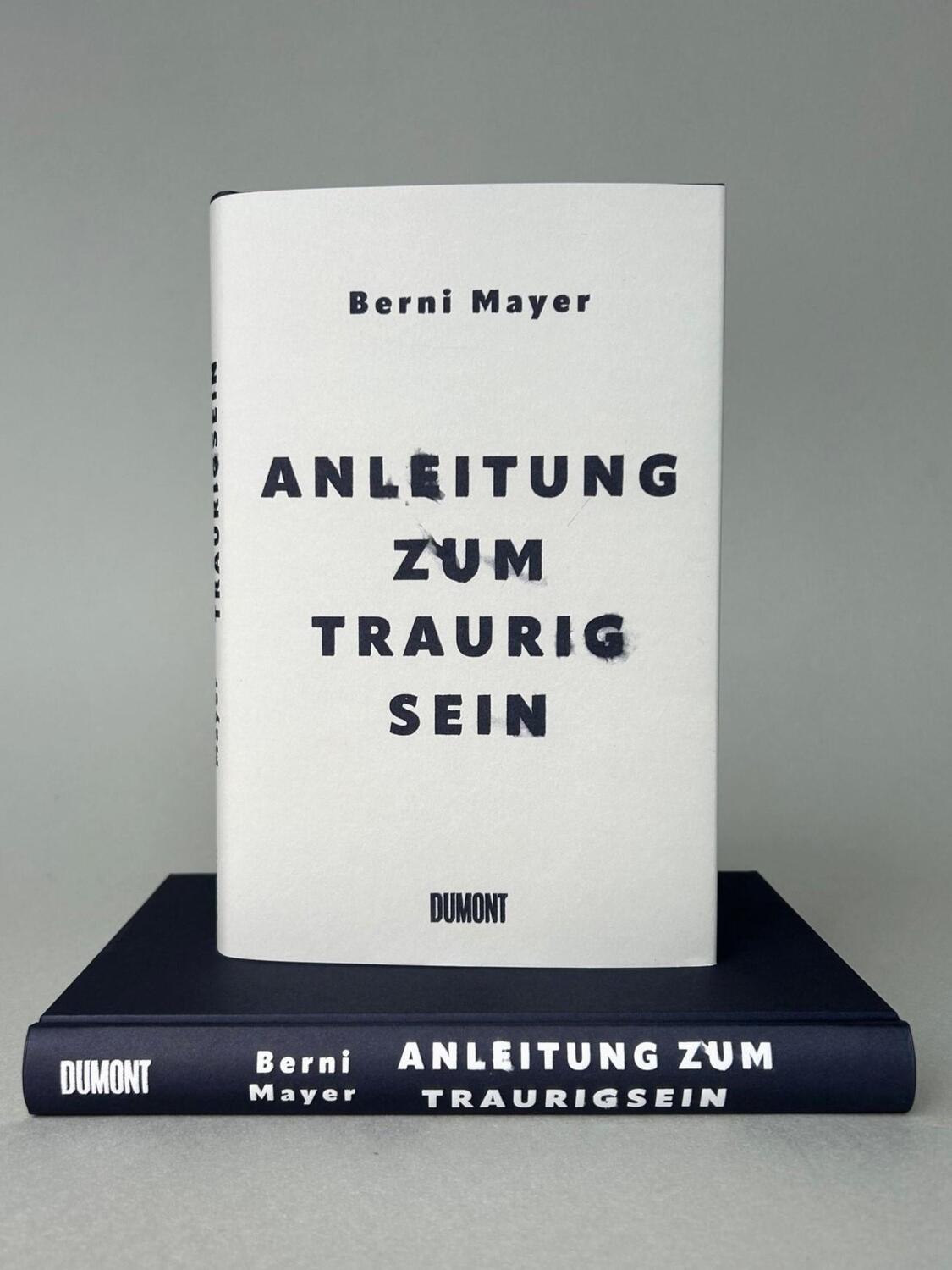 Bild: 9783832182267 | Anleitung zum Traurigsein | Berni Mayer | Buch | 224 S. | Deutsch