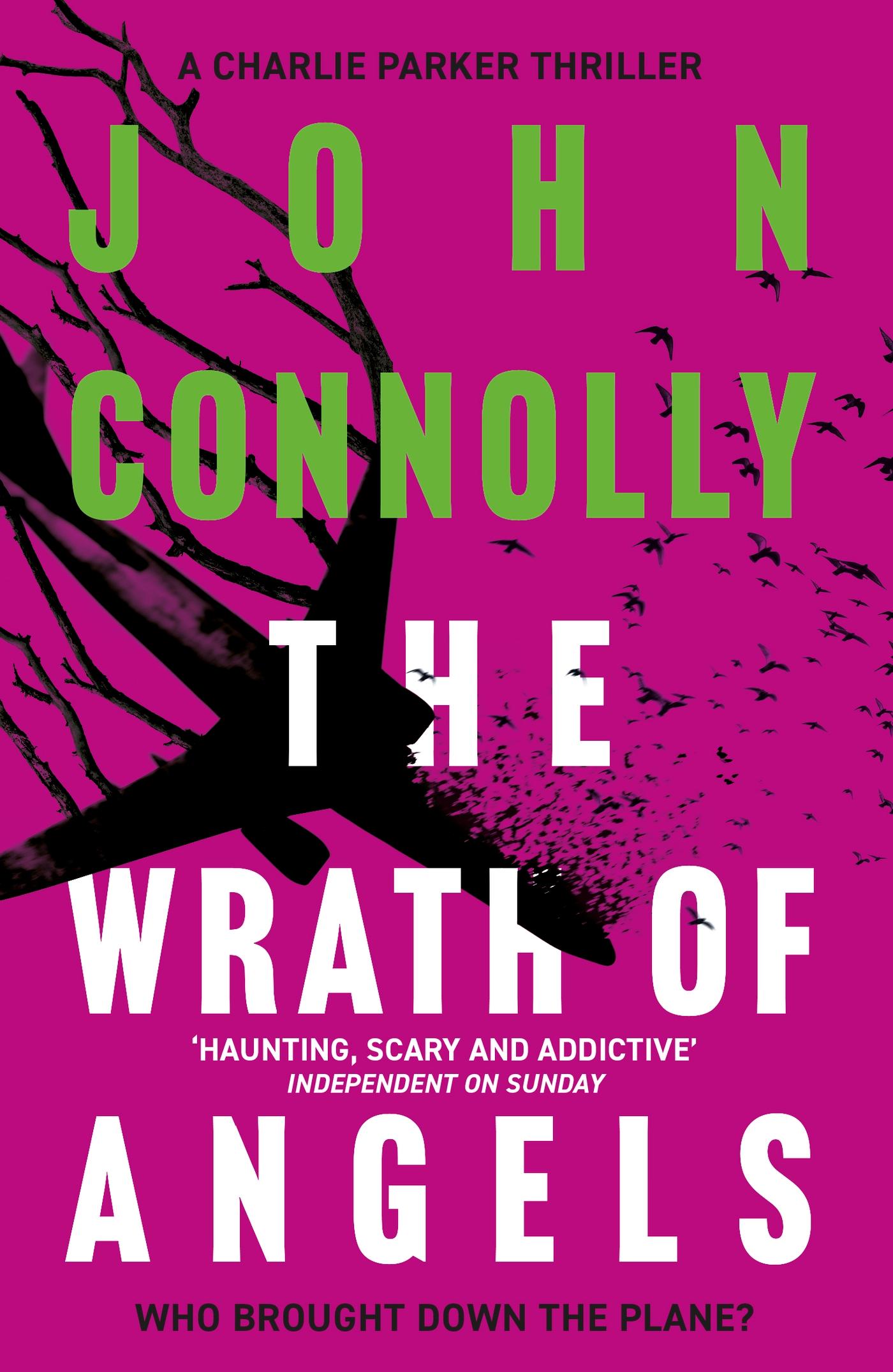 Cover: 9781444756487 | The Wrath of Angels | John Connolly | Taschenbuch | Englisch | 2013