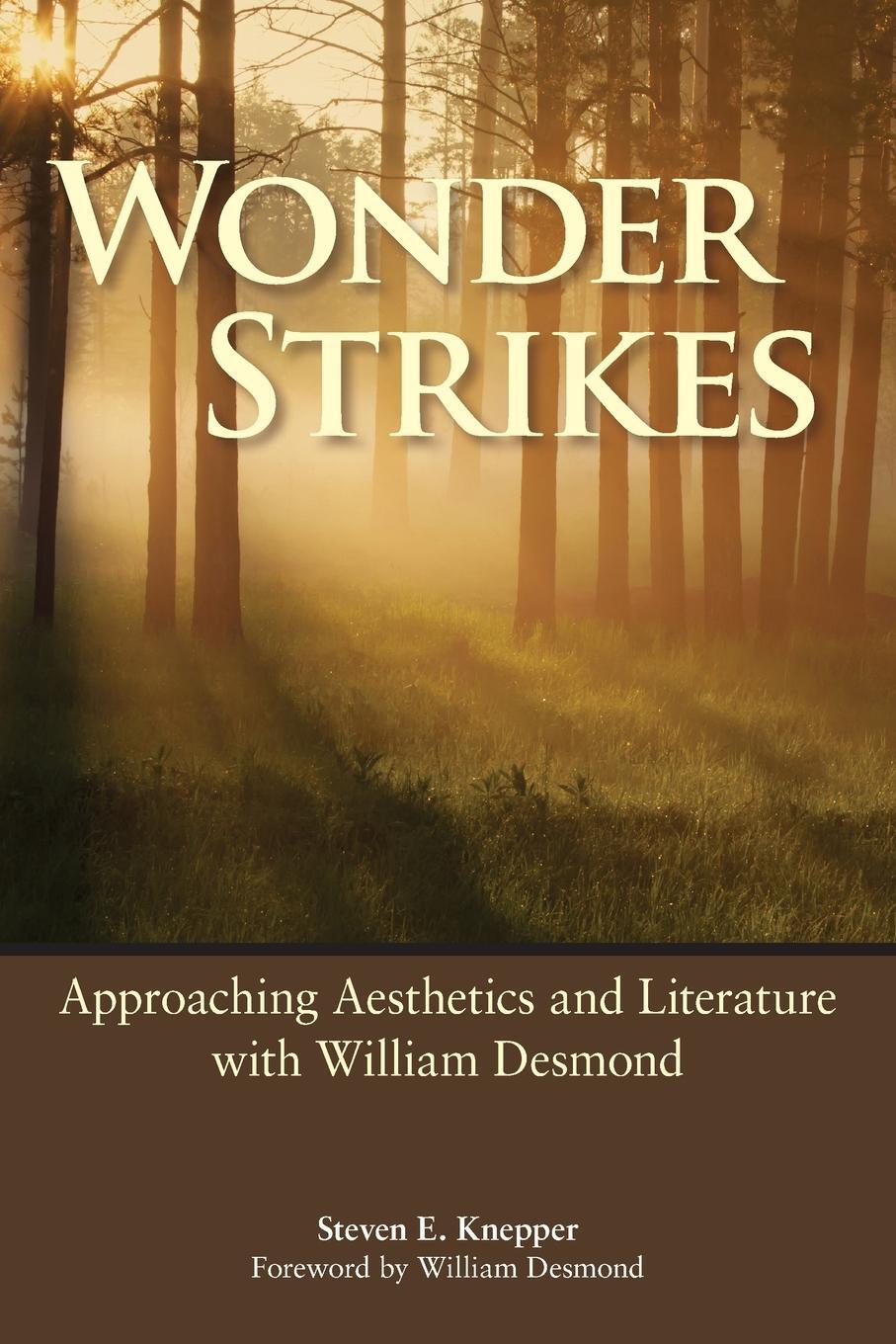 Cover: 9781438489568 | Wonder Strikes | Steven E. Knepper | Taschenbuch | Paperback | 2023