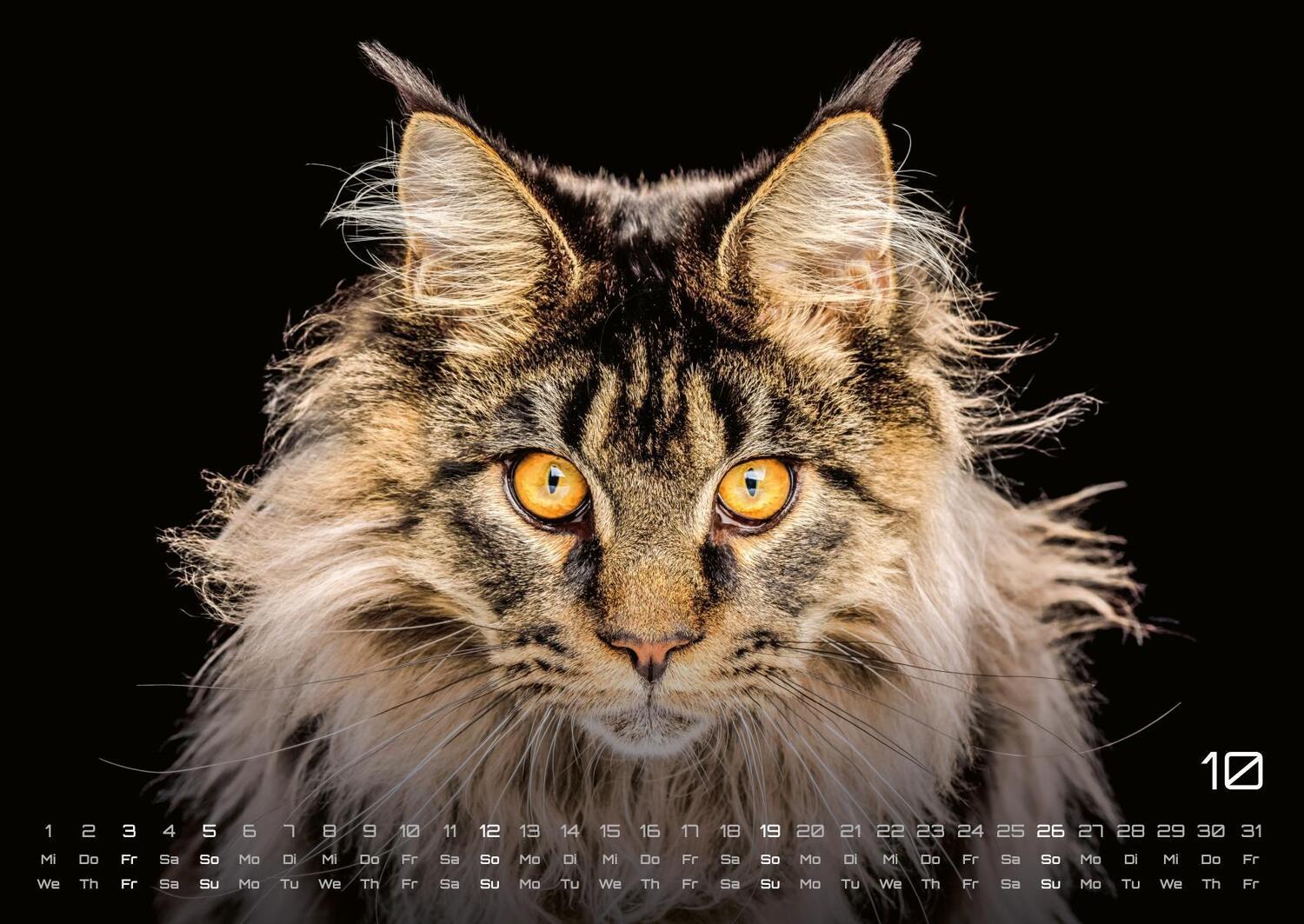 Bild: 9783986733858 | Miau - Unsere Stubentiger - Der Katzenkalender - 2025 - Kalender...