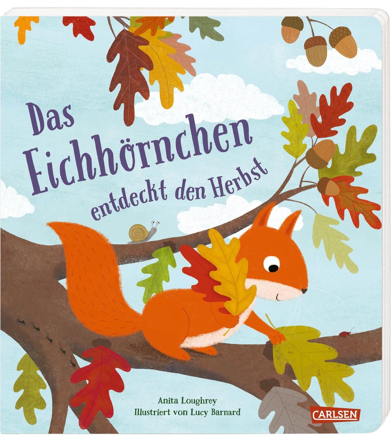 Cover: 9783551172631 | Das Eichhörnchen entdeckt den Herbst | Anita Loughrey | Buch | Deutsch