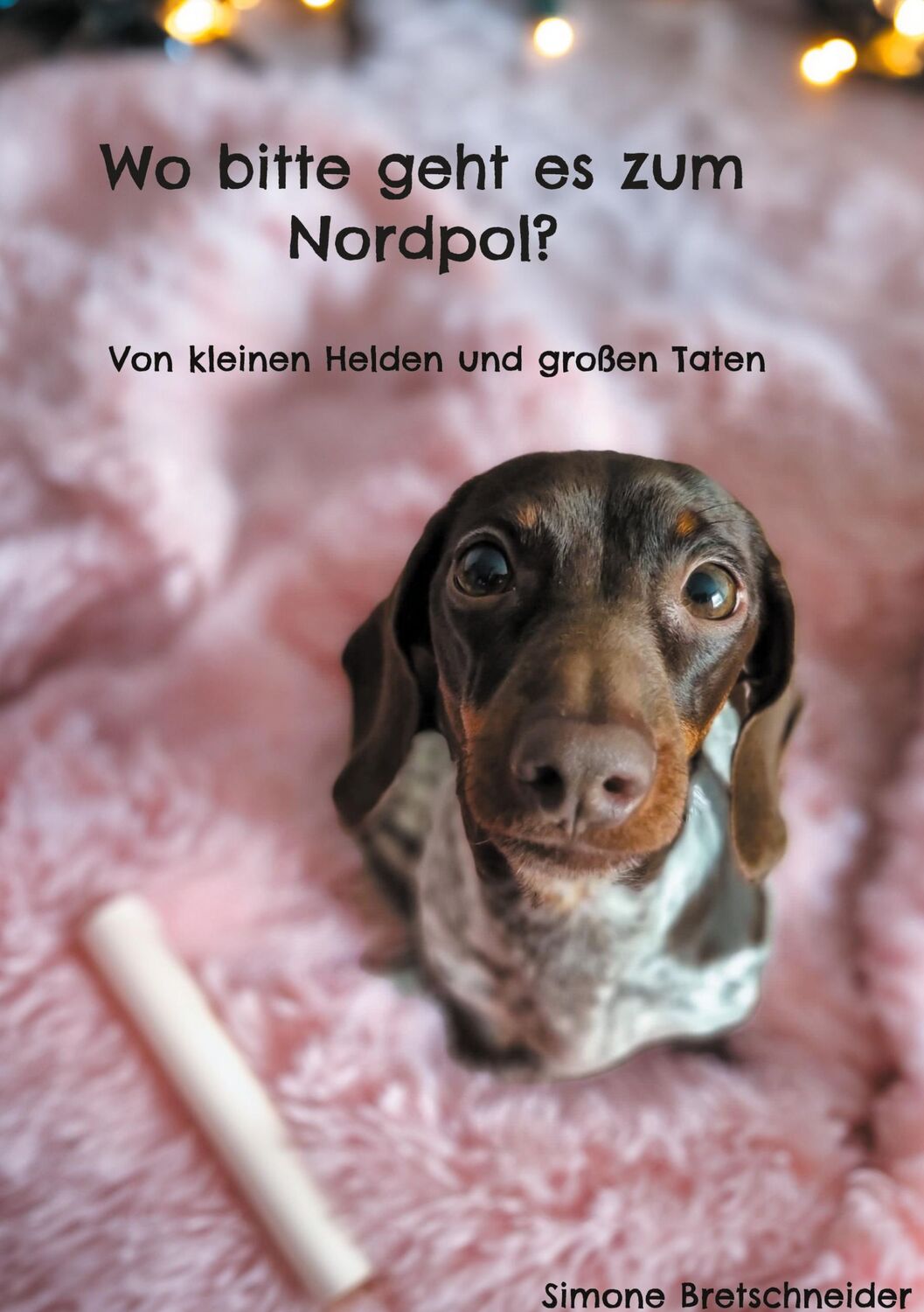 Cover: 9783757891961 | Wo bitte geht es zum Nordpol? | Von kleinen Helden und großen Taten