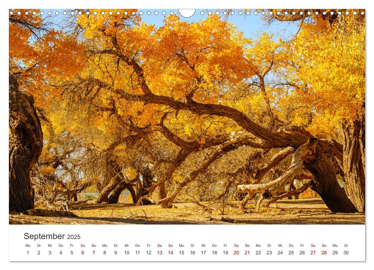 Bild: 9783435006724 | Mongolei - Endlose Steppe und wilde Natur. (Wandkalender 2025 DIN...