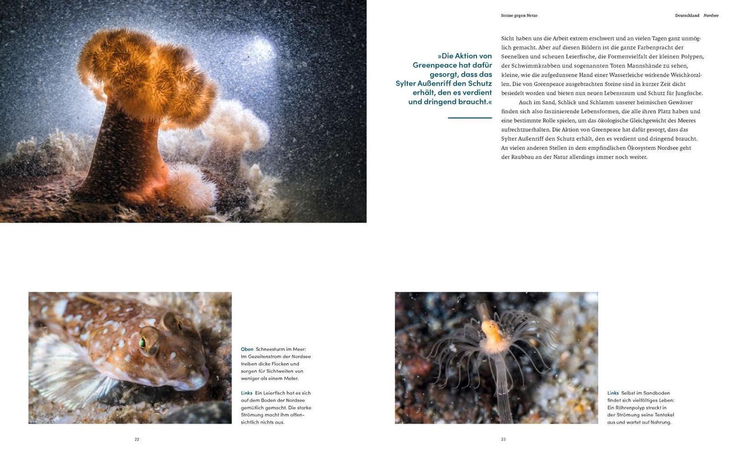 Bild: 9783957285119 | Leidenschaft Ozean | Expeditionen in die Tiefe | Uli Kunz | Buch
