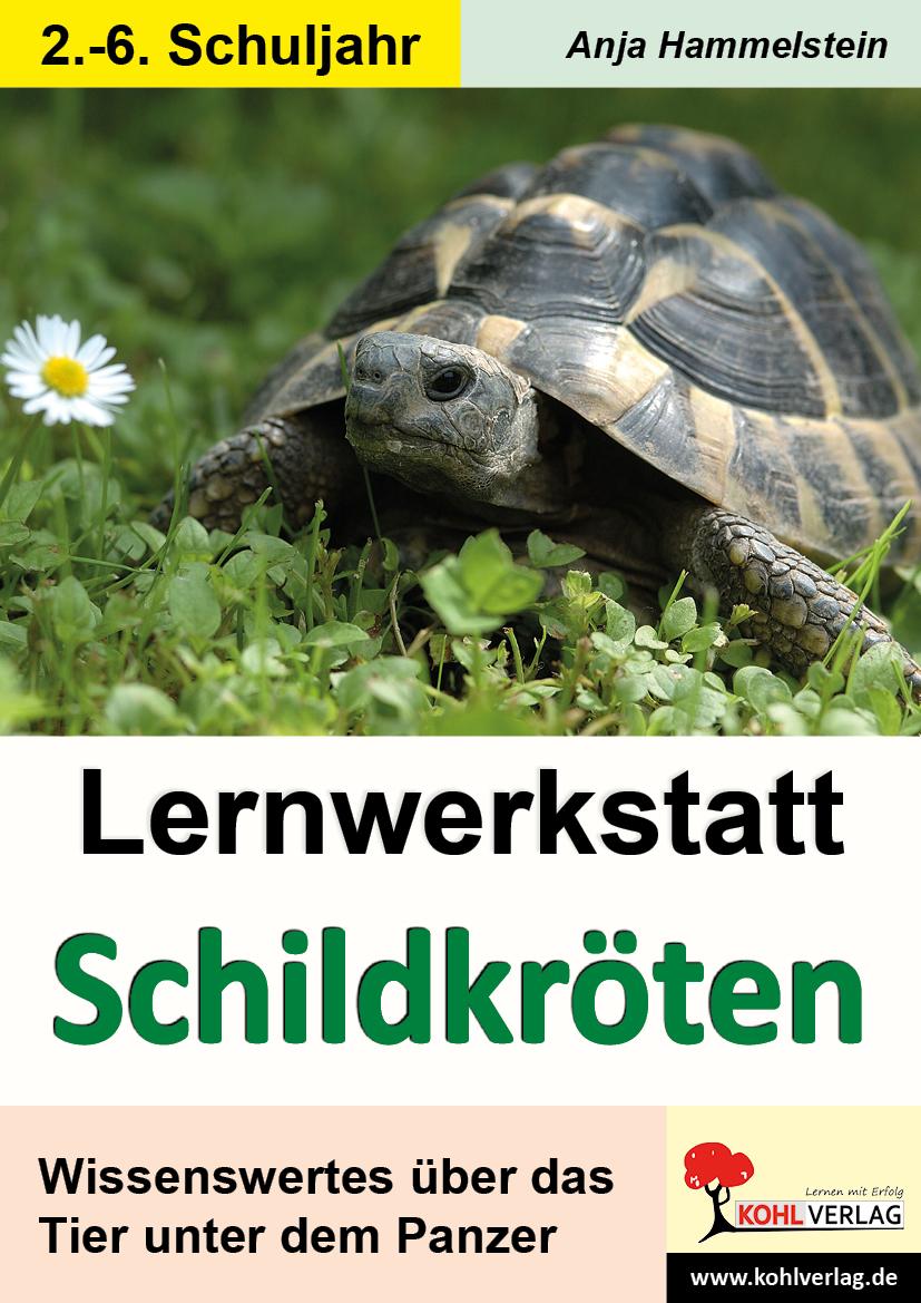 Cover: 9783866326460 | Lernwerkstatt Schildkröten | Anja Hammelstein | Broschüre | 36 S.