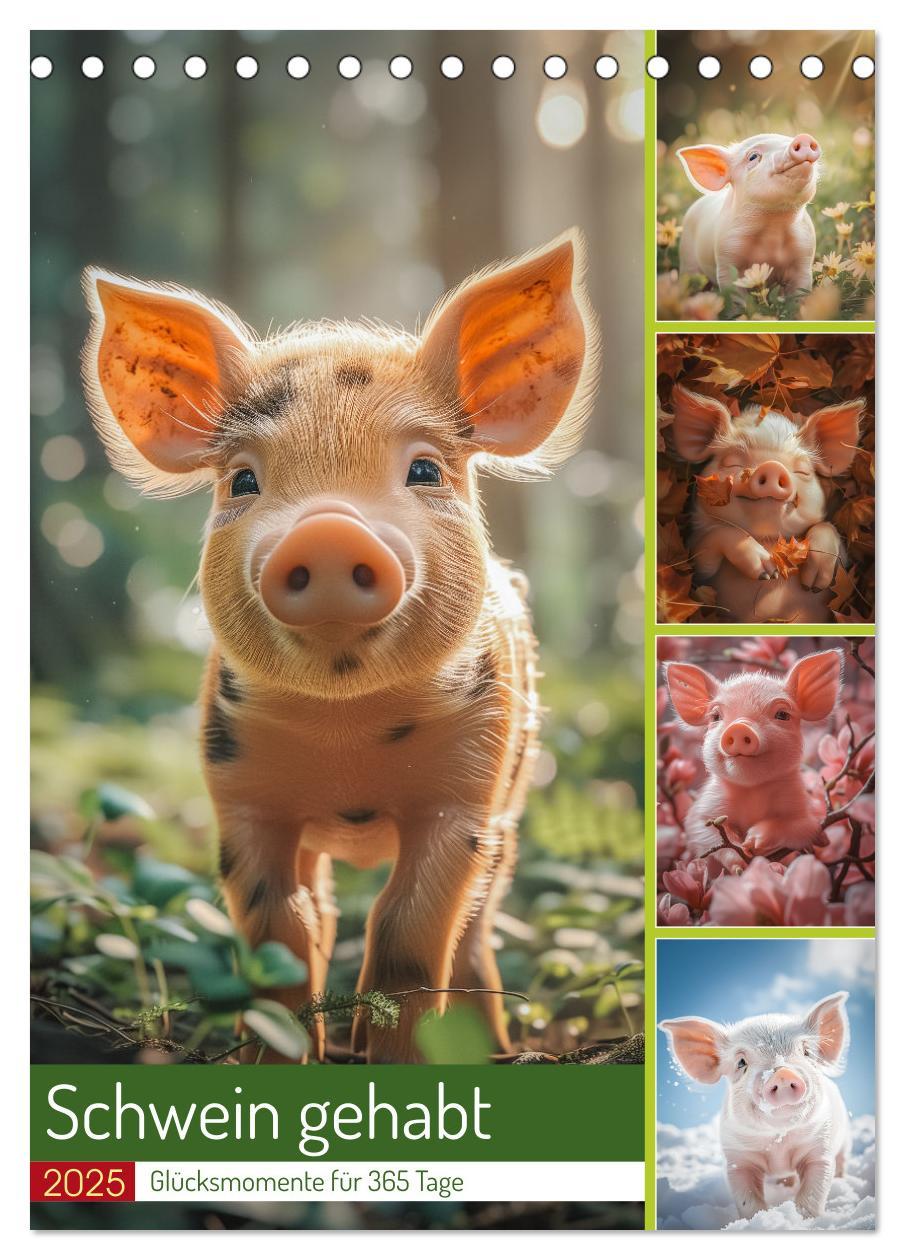 Cover: 9783457160558 | Schwein gehabt (Tischkalender 2025 DIN A5 hoch), CALVENDO...