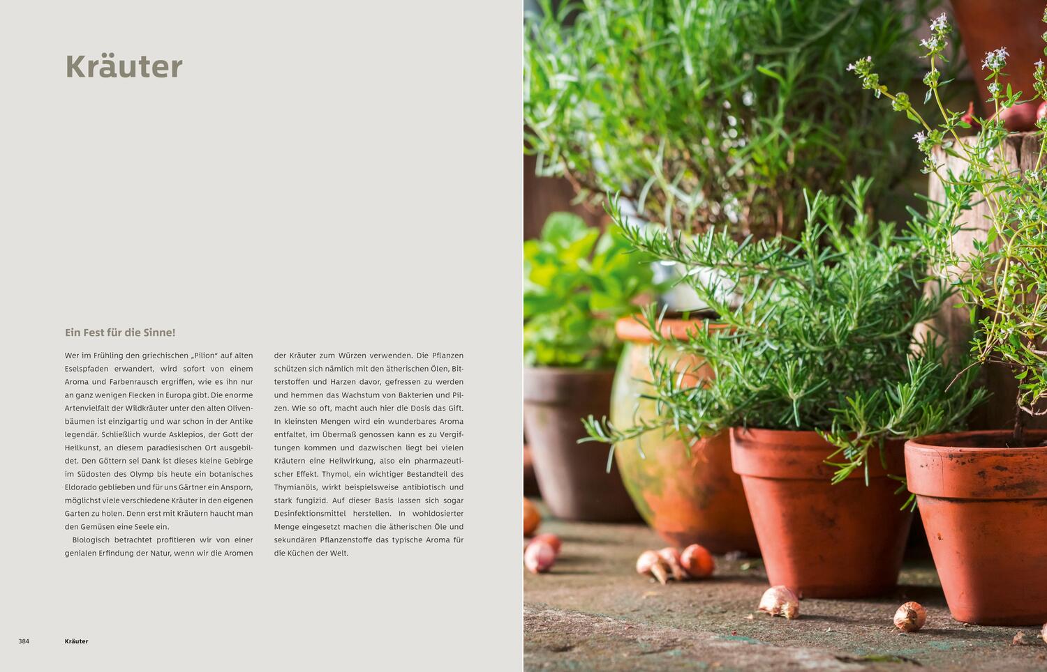 Bild: 9783954531530 | Gemüse und Kräuter im Garten | Markus Phlippen | Buch | 432 S. | 2019