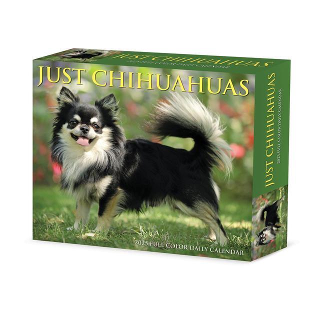 Cover: 9781549240737 | Chihuahuas 2025 6.2 X 5.4 Box Calendar | Willow Creek Press | Kalender