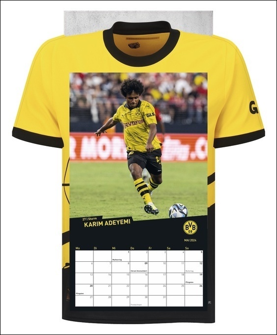 Bild: 9783756402762 | Borussia Dortmund Trikotkalender 2024. Kalender im originalen...
