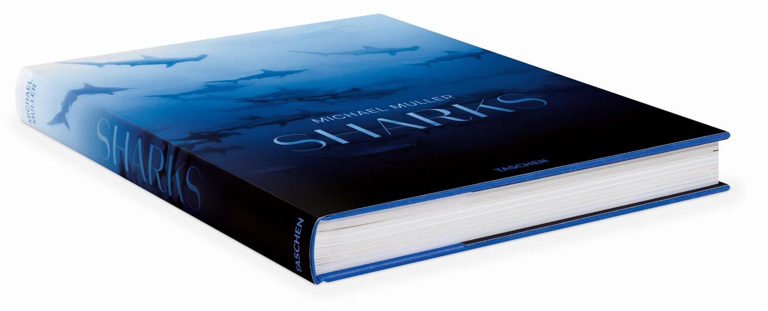 Bild: 9783836553599 | Michael Muller. Sharks | Philippe Cousteau (u. a.) | Buch | 334 S.