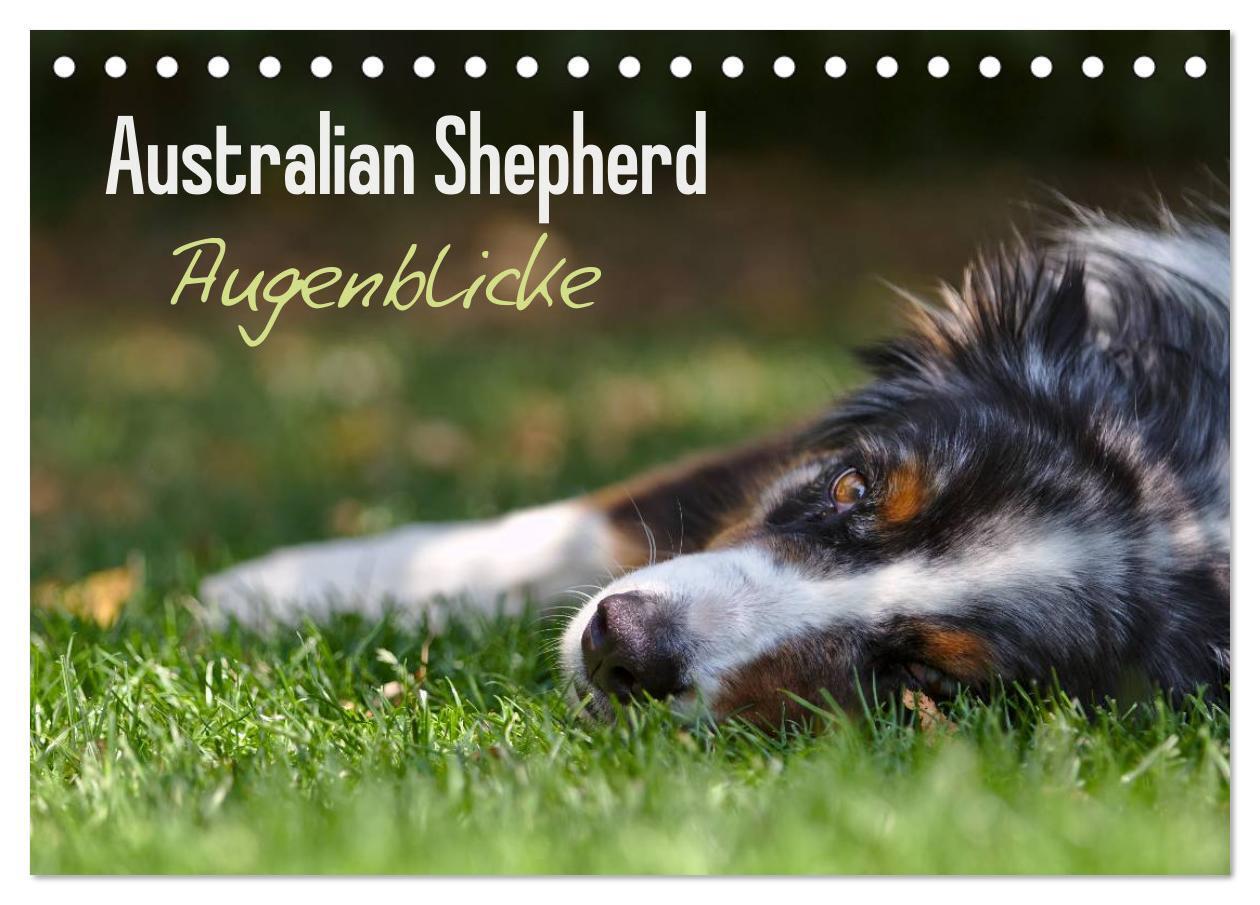 Cover: 9783675583382 | Australian Shepherd - Augenblicke (Tischkalender 2024 DIN A5 quer),...