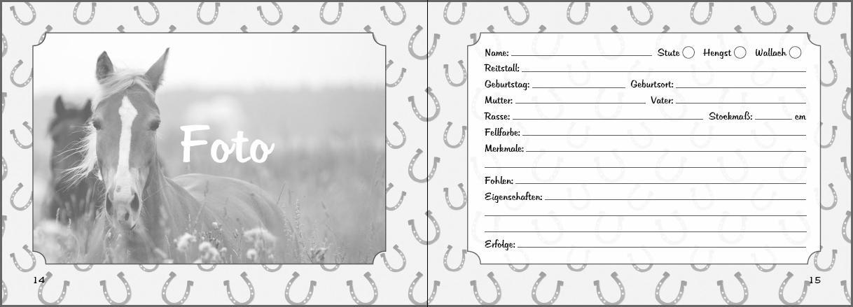 Bild: 9783902943637 | Mein Reiter-Tagebuch | Caroline Oblasser | Taschenbuch | Paperback
