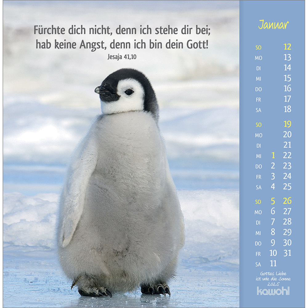 Bild: 9783754848050 | Gottes Liebe ist wie die Sonne 2025 | Tierkalender mit Bibelworten