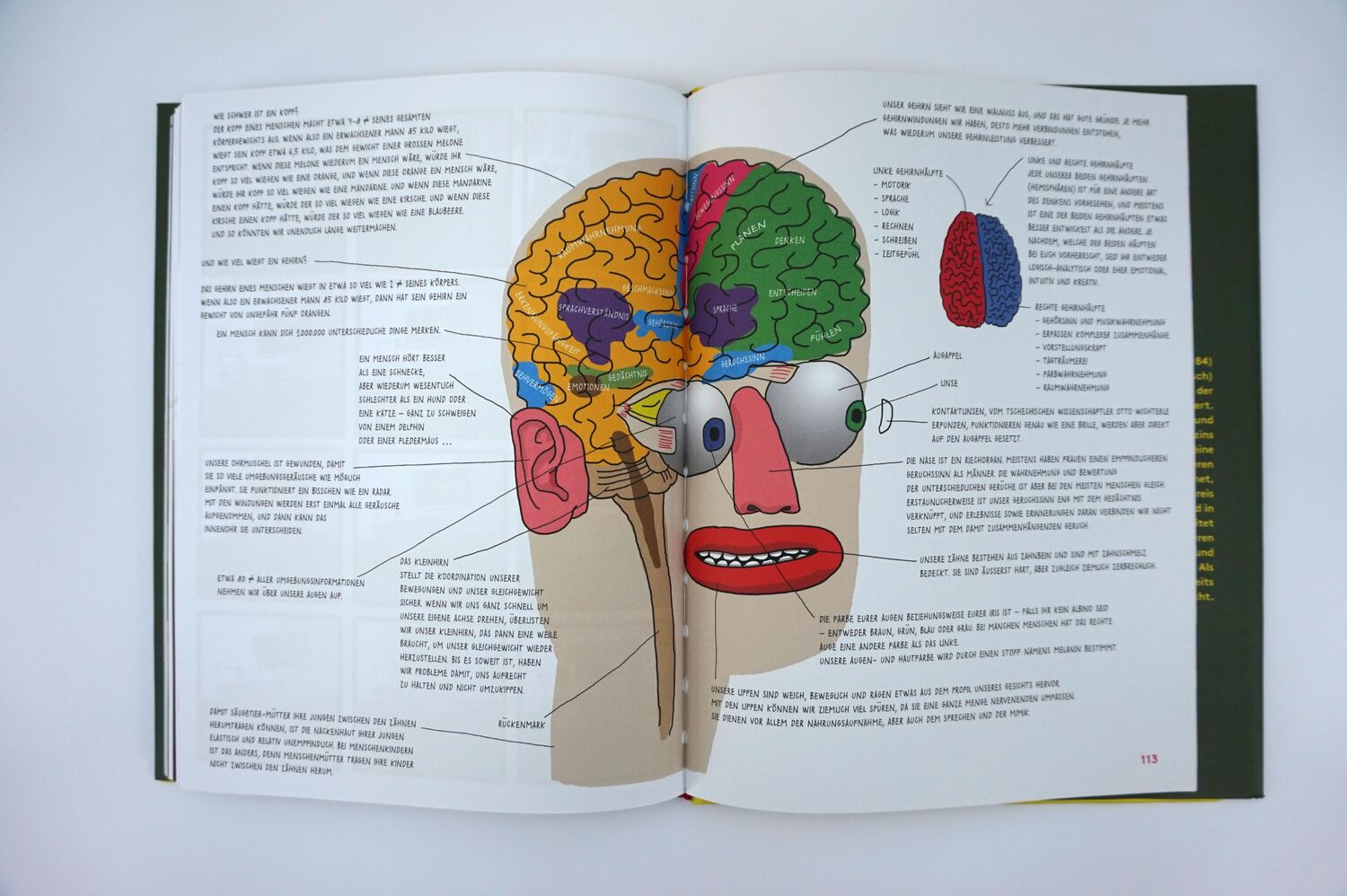 Bild: 9783792003671 | Kopf im Kopf | Wissen, Spielereien und Poesie über den Kopf | Buch