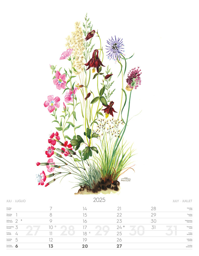 Bild: 9788868397432 | Alpenblumen-Aquarelle Kalender 2025 | Athesia-Tappeiner Verlag | 14 S.