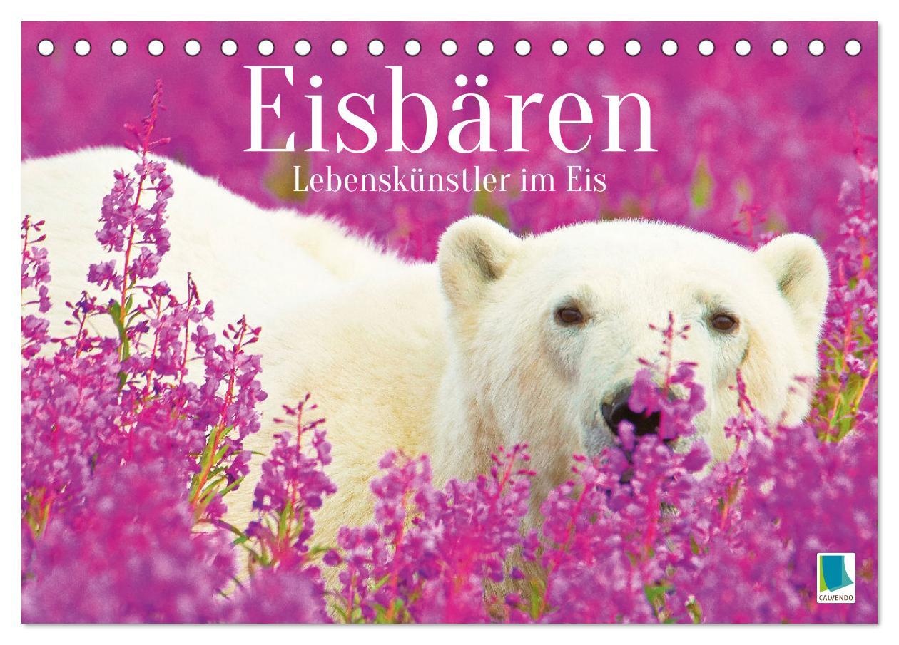 Cover: 9783457140529 | Eisbären: Lebenskünstler im Eis (Tischkalender 2025 DIN A5 quer),...