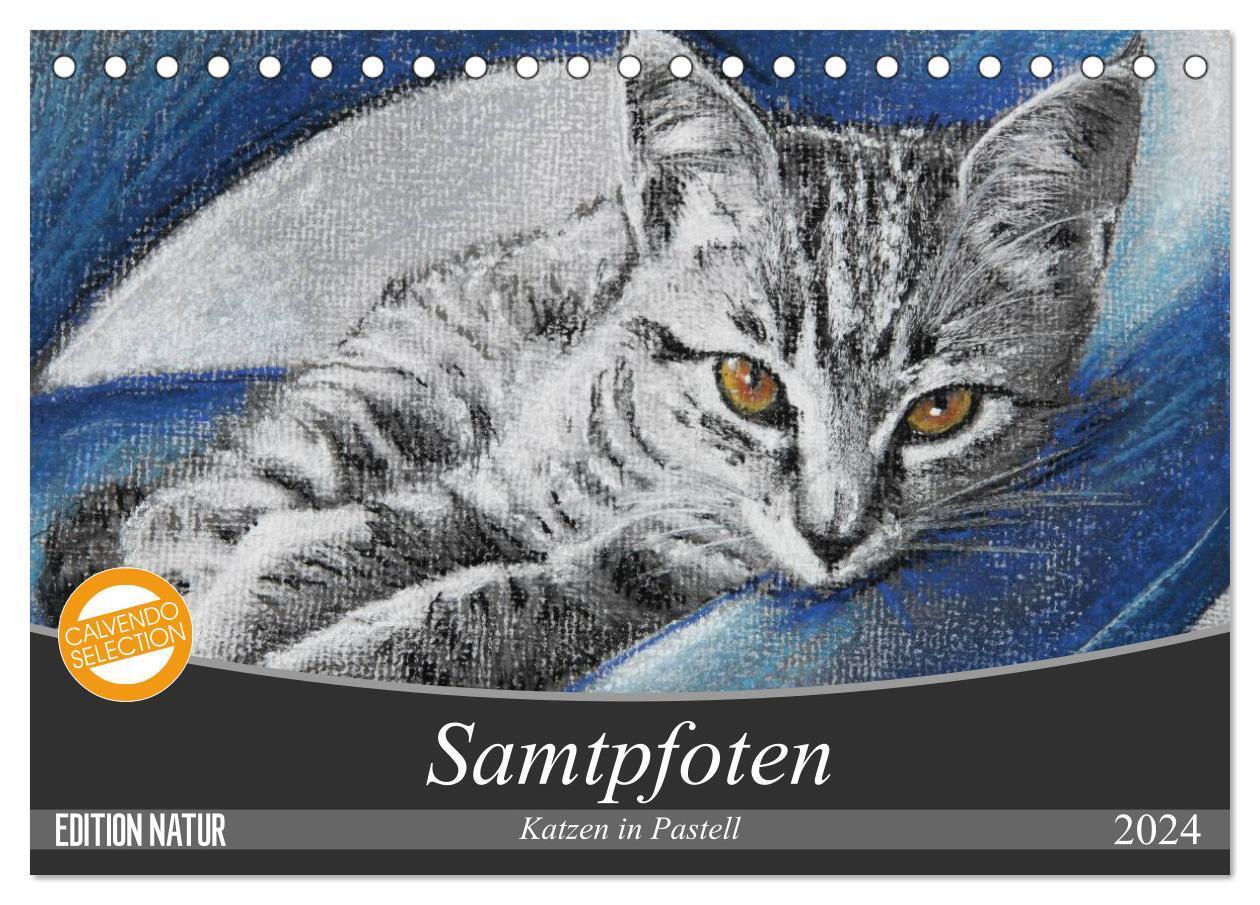 Cover: 9783383385216 | Samtpfoten - Katzen in Pastell (Tischkalender 2024 DIN A5 quer),...