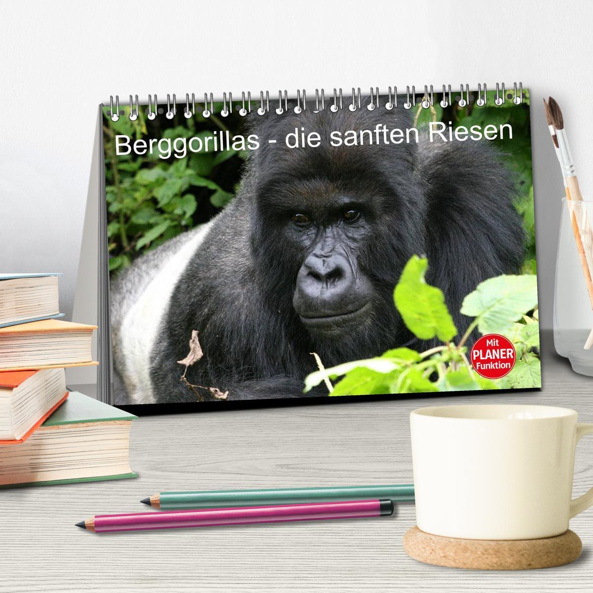 Bild: 9783435523641 | Berggorillas - die sanften Riesen (Tischkalender 2025 DIN A5 quer),...