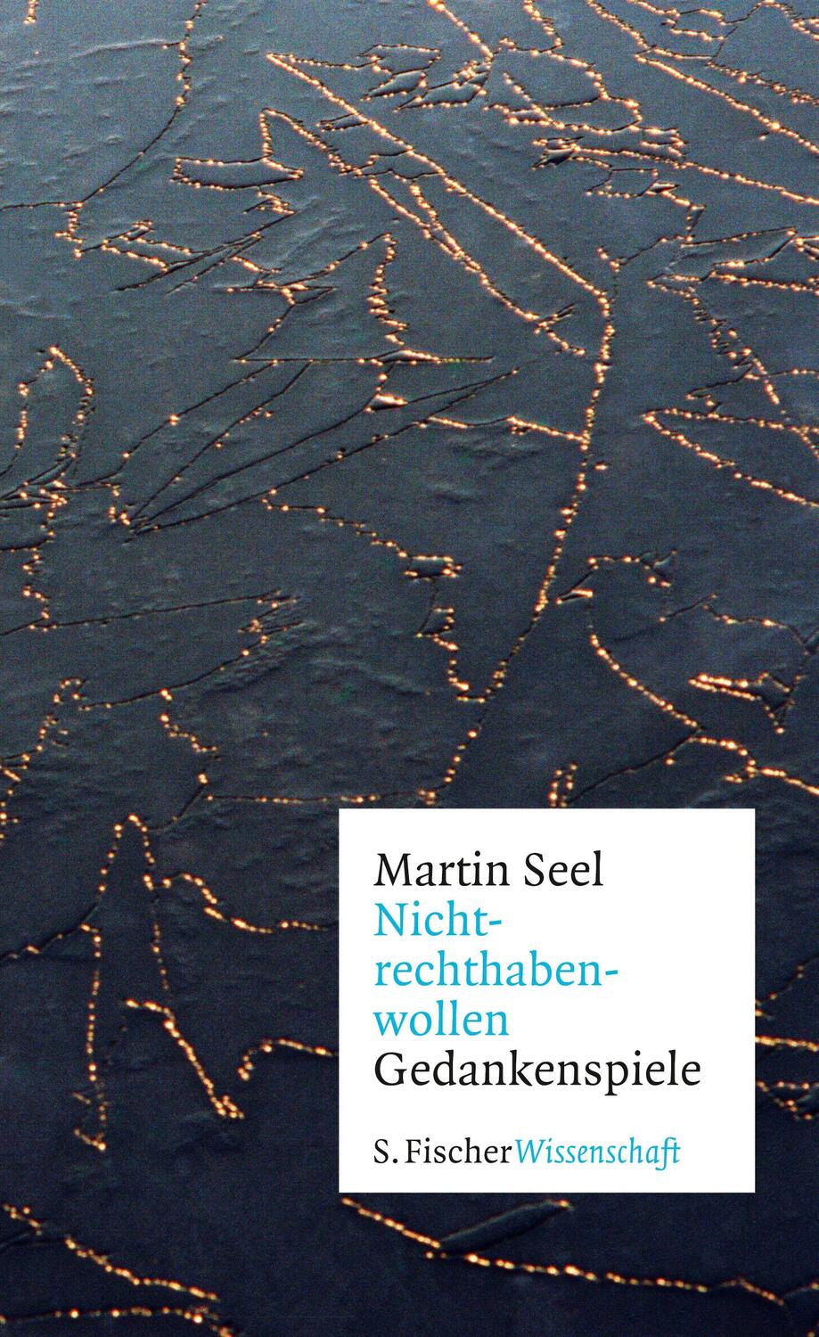 Cover: 9783103972238 | Nichtrechthabenwollen | Gedankenspiele | Martin Seel | Buch | Deutsch