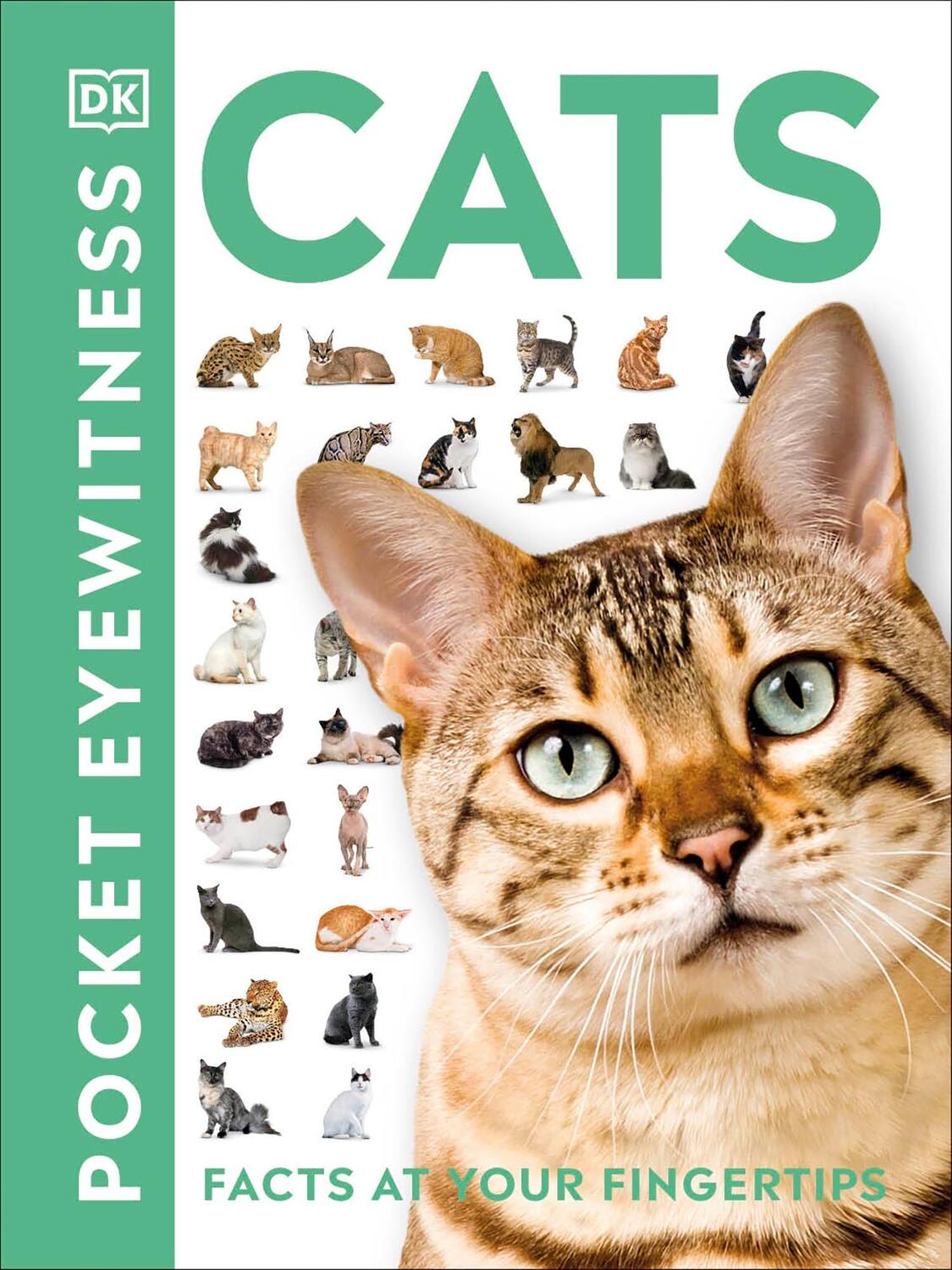 Cover: 9780241413012 | Cats | Facts at Your Fingertips | Dk | Taschenbuch | Englisch | 2020