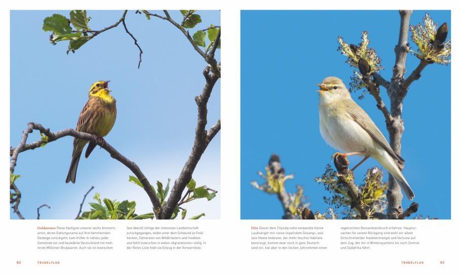Bild: 9783954162734 | Unsere einzigartige Vogelwelt | Peter Berthold | Buch | 224 S. | 2018
