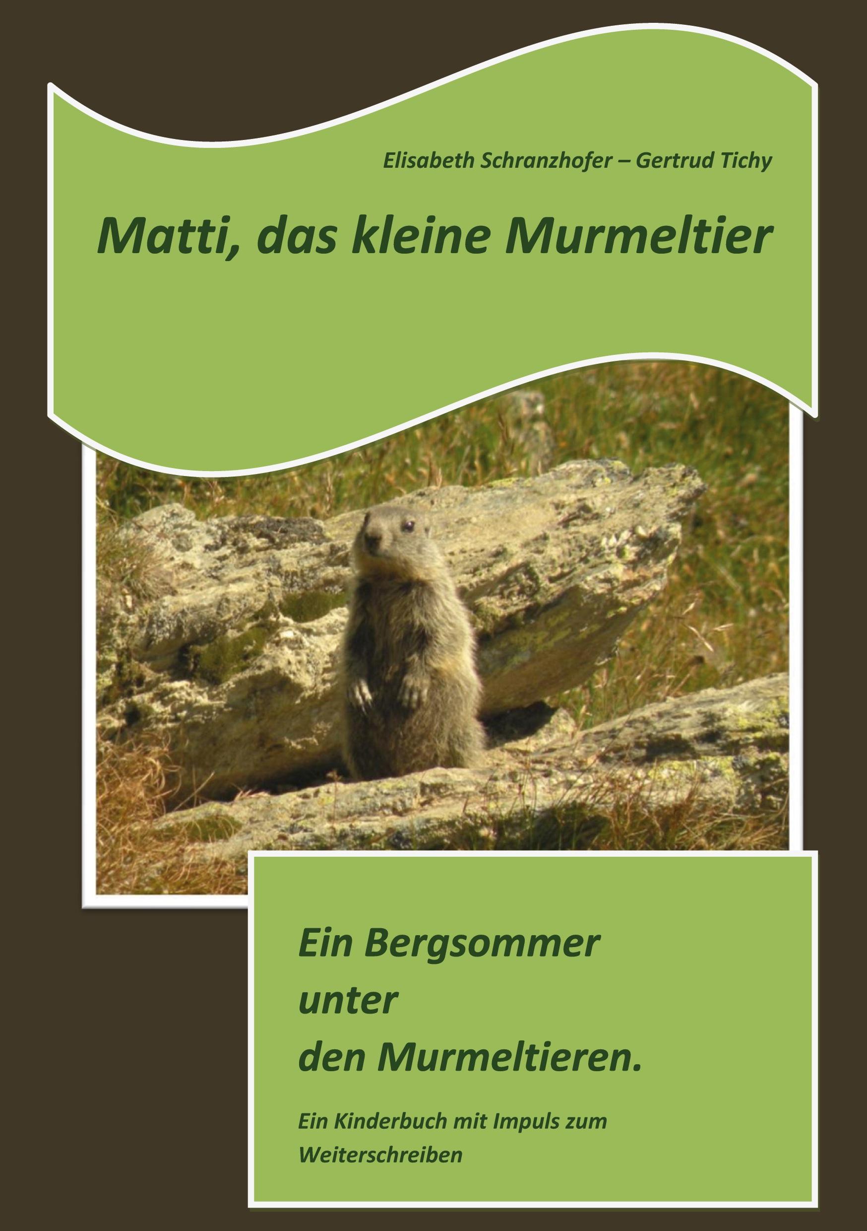 Cover: 9783756293094 | Matti, das kleine Murmeltier | Ein Bergsommer unter den Murmeltieren.