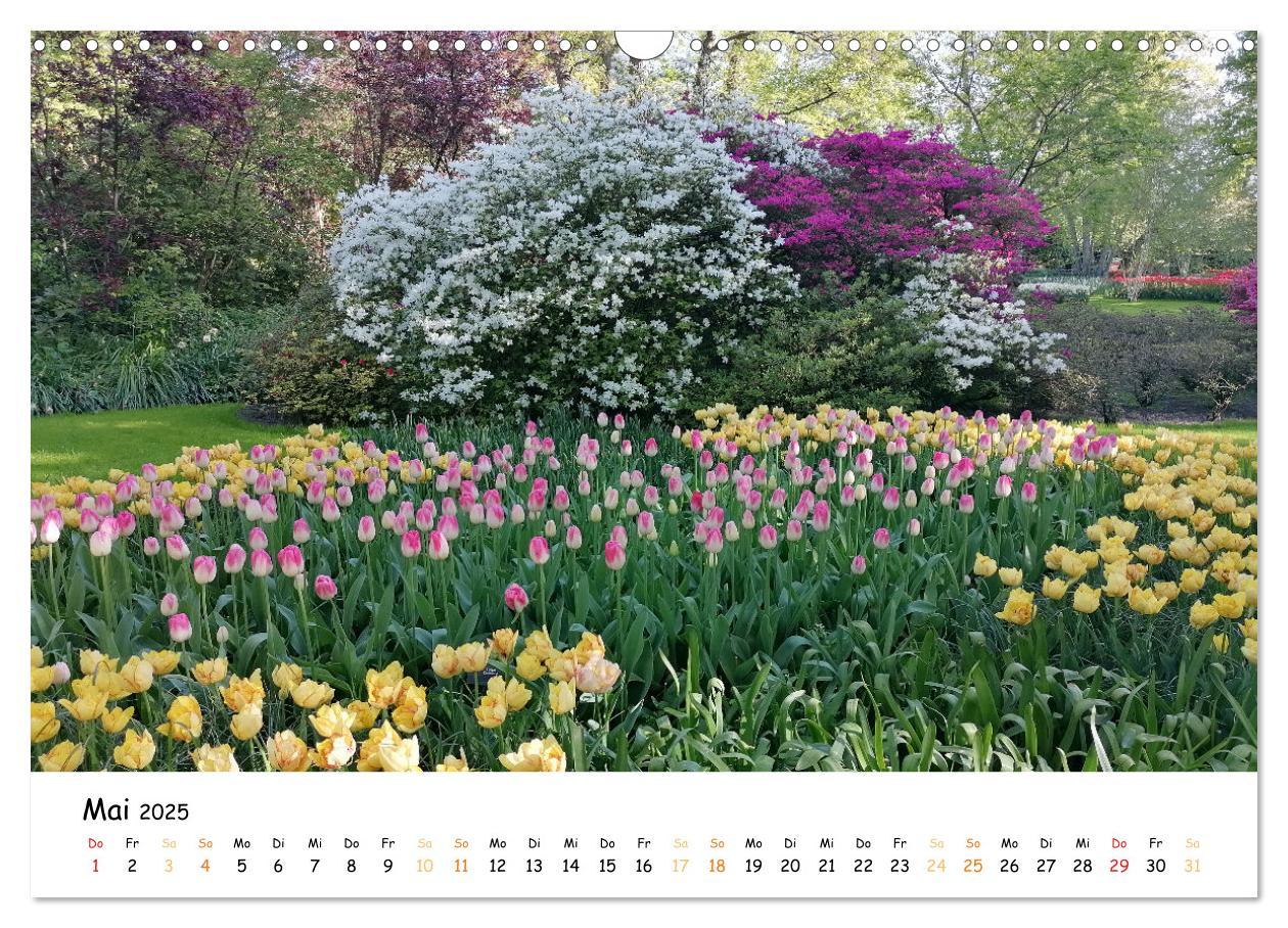 Bild: 9783383924354 | Auf Tour im Land der Tulpen (Wandkalender 2025 DIN A3 quer),...