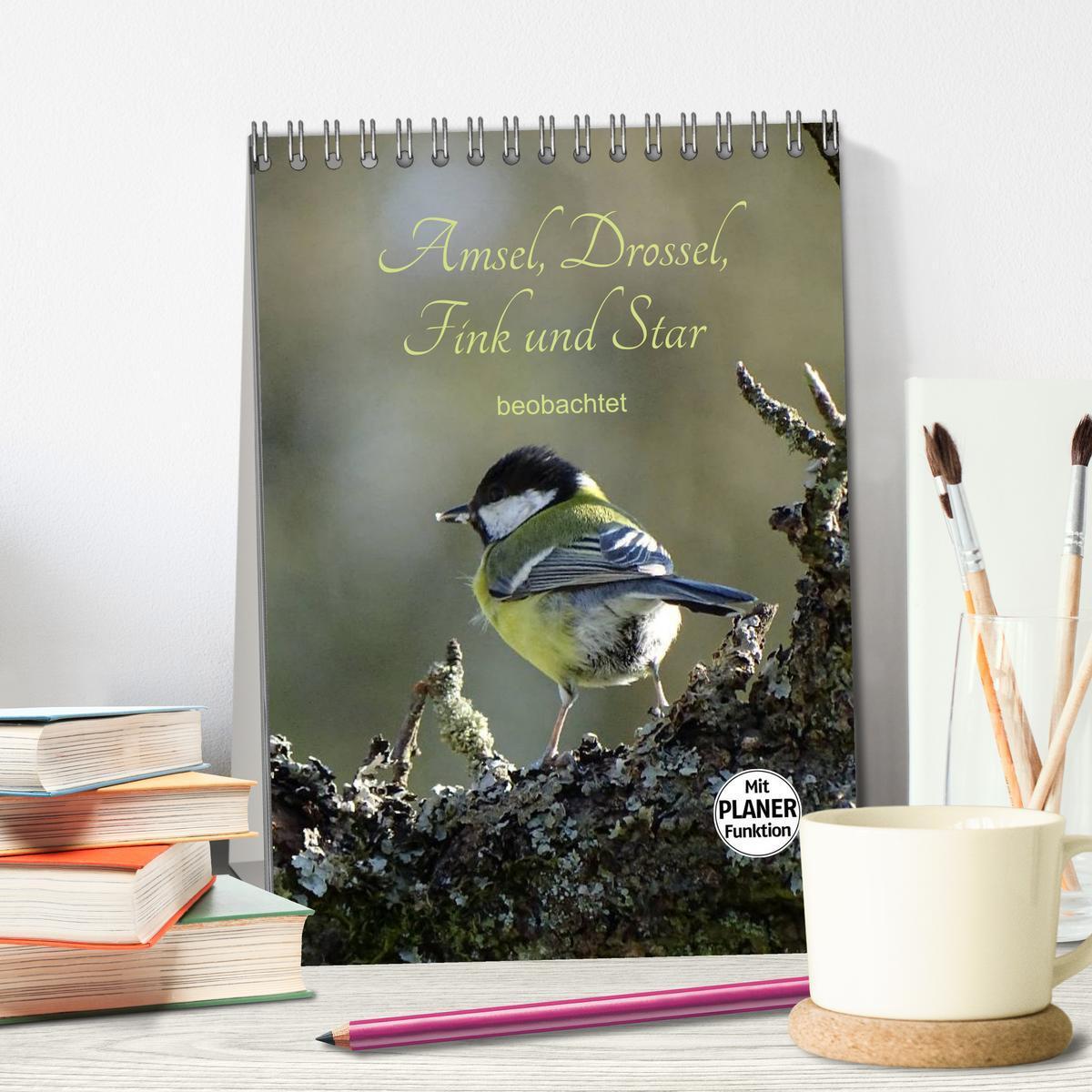 Bild: 9783457041031 | Amsel, Drossel, Fink und Star - beobachtet (Tischkalender 2025 DIN...