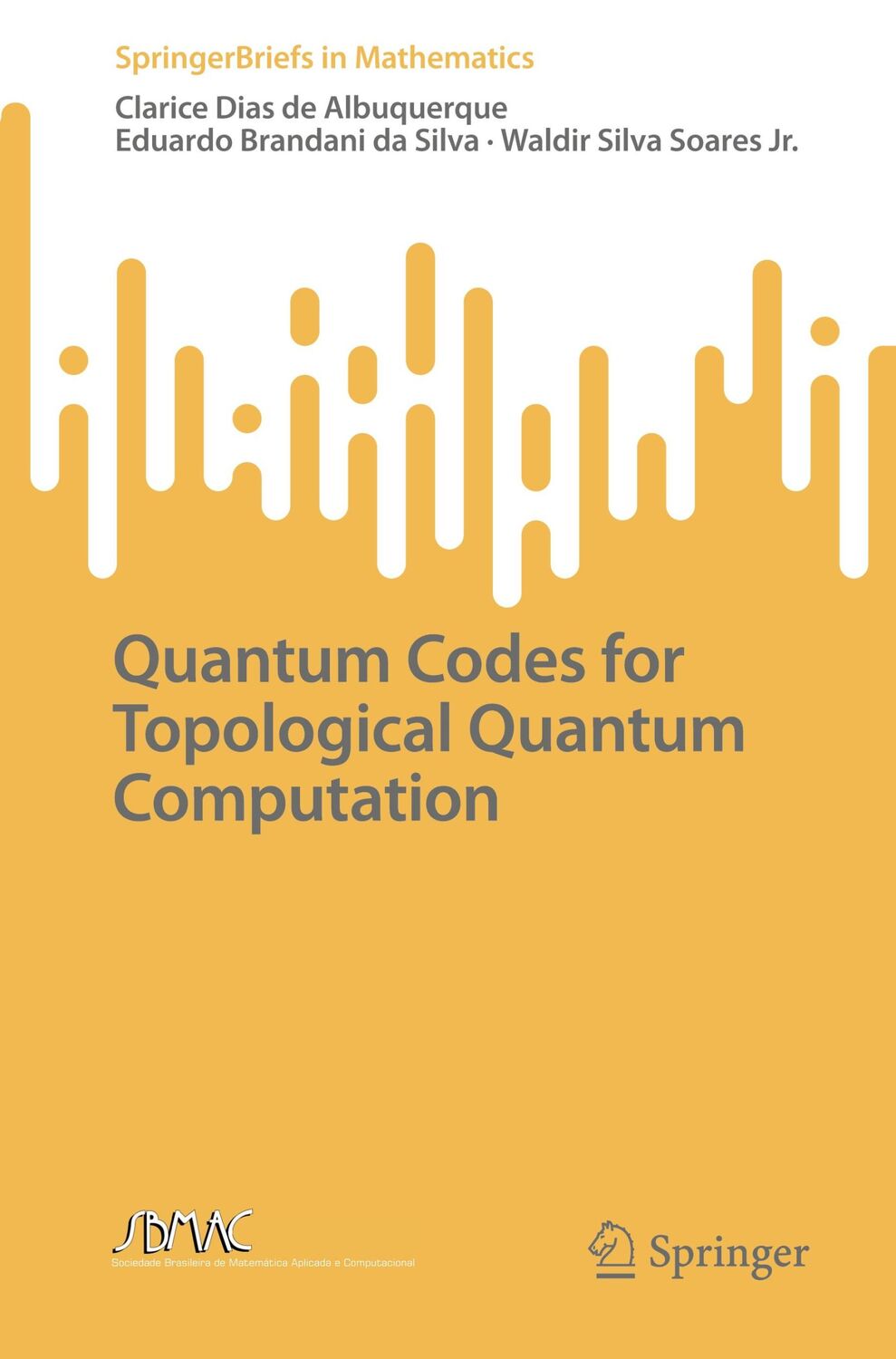 Cover: 9783031068324 | Quantum Codes for Topological Quantum Computation | Taschenbuch | viii