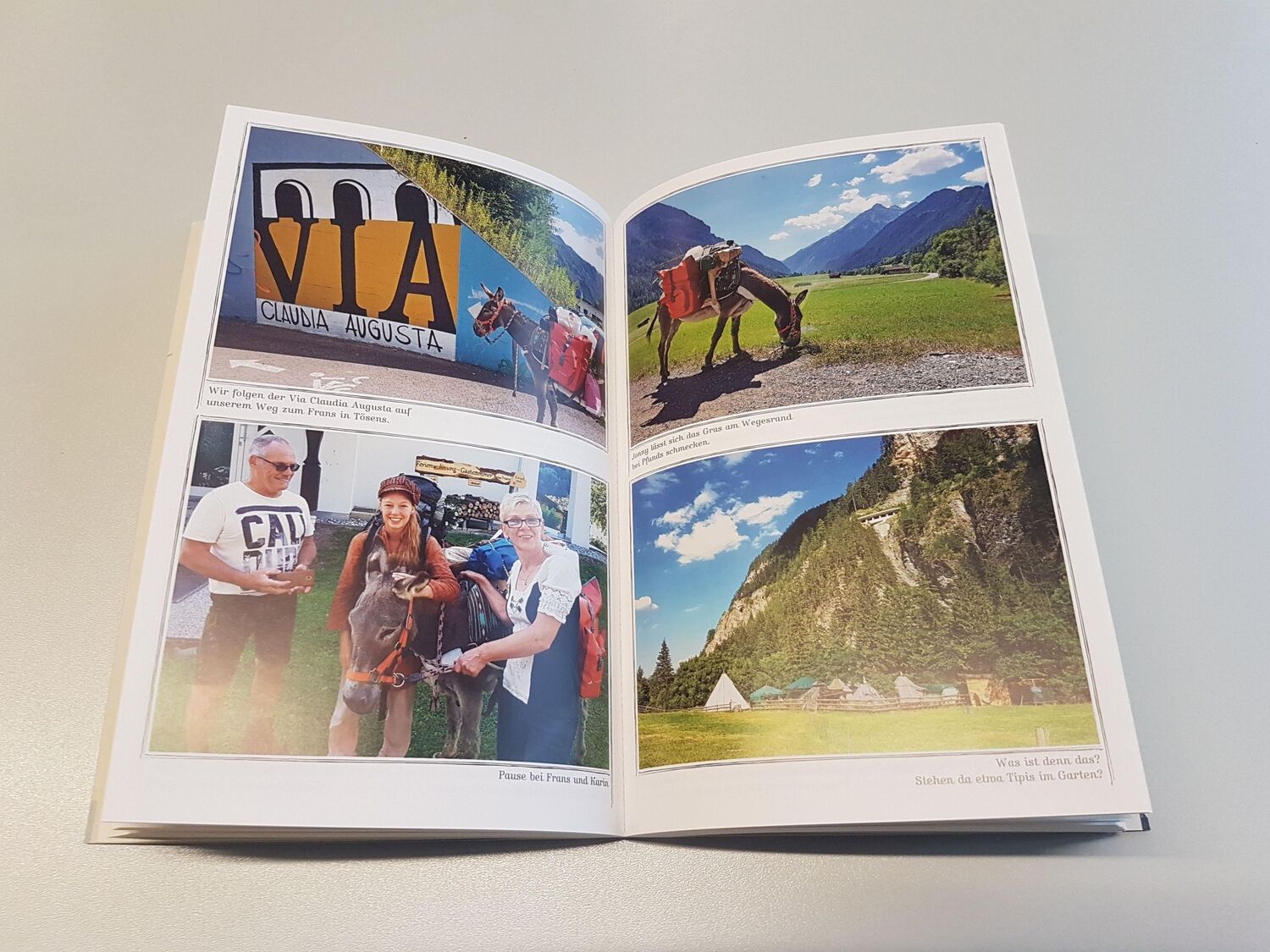 Bild: 9783890295398 | Wandern, Glück und lange Ohren | Lotta Lubkoll | Taschenbuch | 288 S.