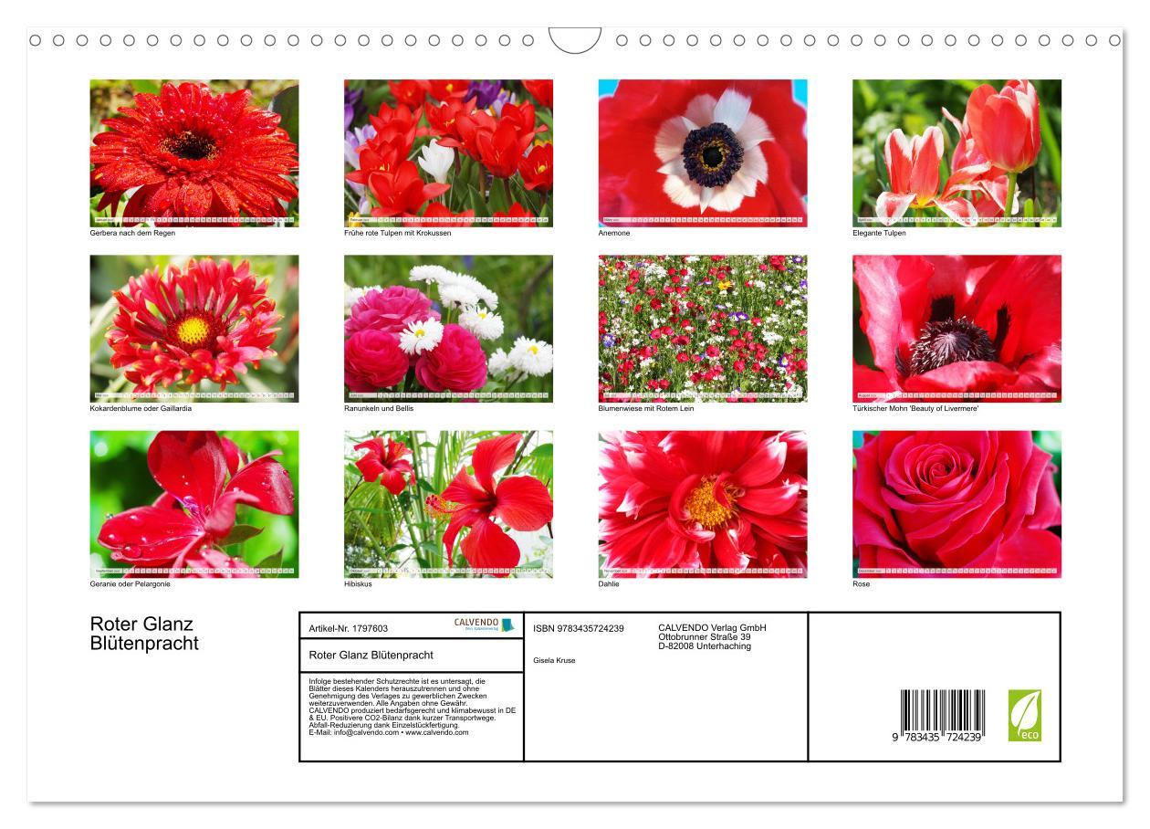 Bild: 9783435724239 | Roter Glanz Blütenpracht (Wandkalender 2025 DIN A3 quer), CALVENDO...