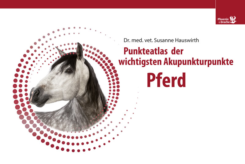 Cover: 9783943116137 | Punkteatlas der wichtigsten Akupunkturpunkte - Pferd | Hauswirth