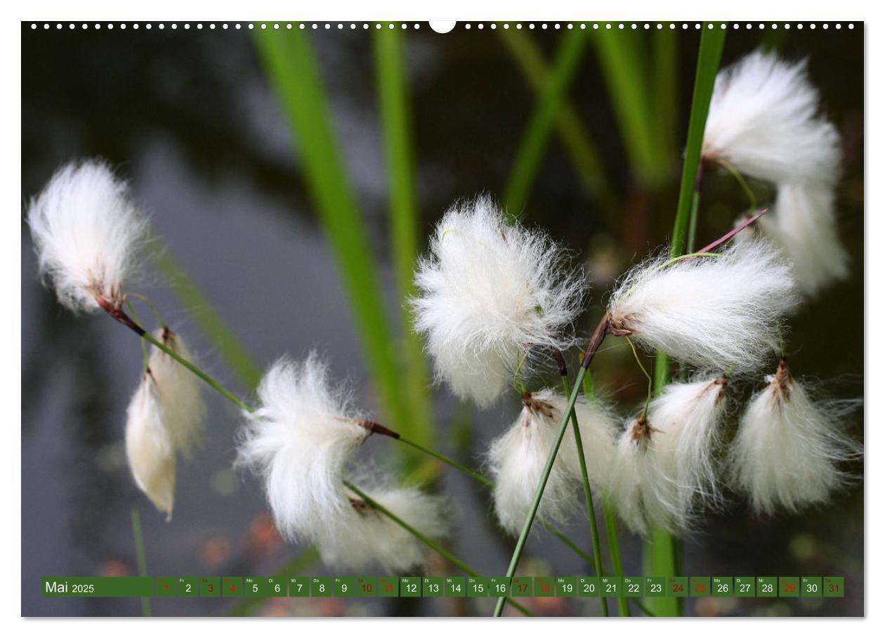 Bild: 9783383996276 | Natur, die bezaubert (Wandkalender 2025 DIN A2 quer), CALVENDO...