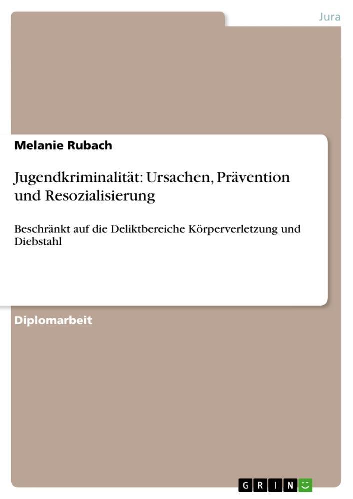 Cover: 9783656503828 | Jugendkriminalität: Ursachen, Prävention und Resozialisierung | Rubach
