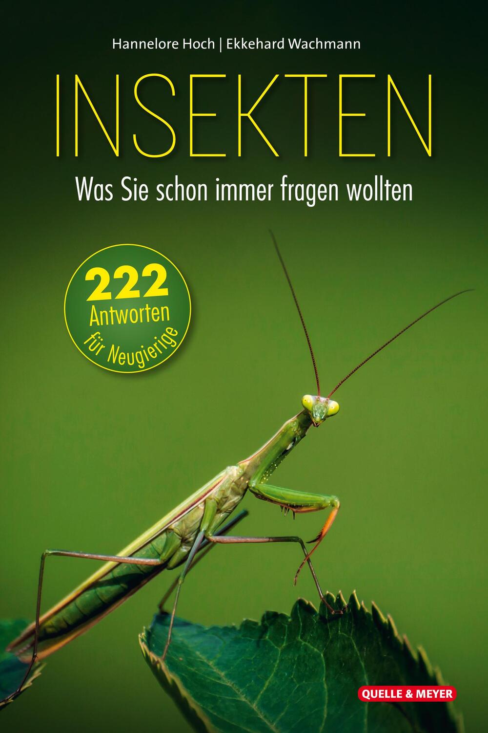 Cover: 9783494018805 | Insekten - Was Sie schon immer fragen wollten | Hannelore Hoch (u. a.)
