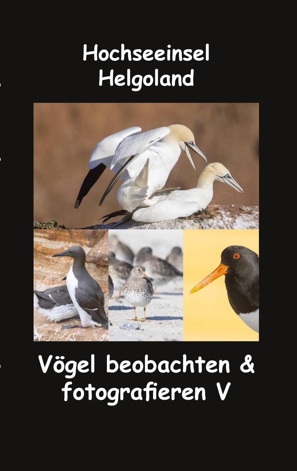 Cover: 9783756210886 | Hochseeinsel Helgoland | Vögel beobachten & fotografieren V | fotolulu