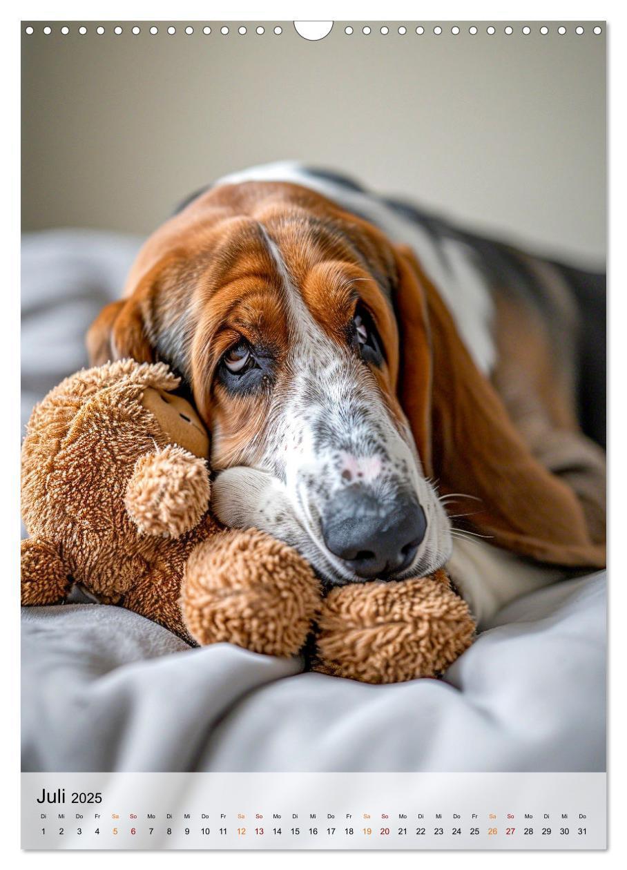 Bild: 9783383779886 | Basset Hound - freundlich und anhänglich (Wandkalender 2025 DIN A3...