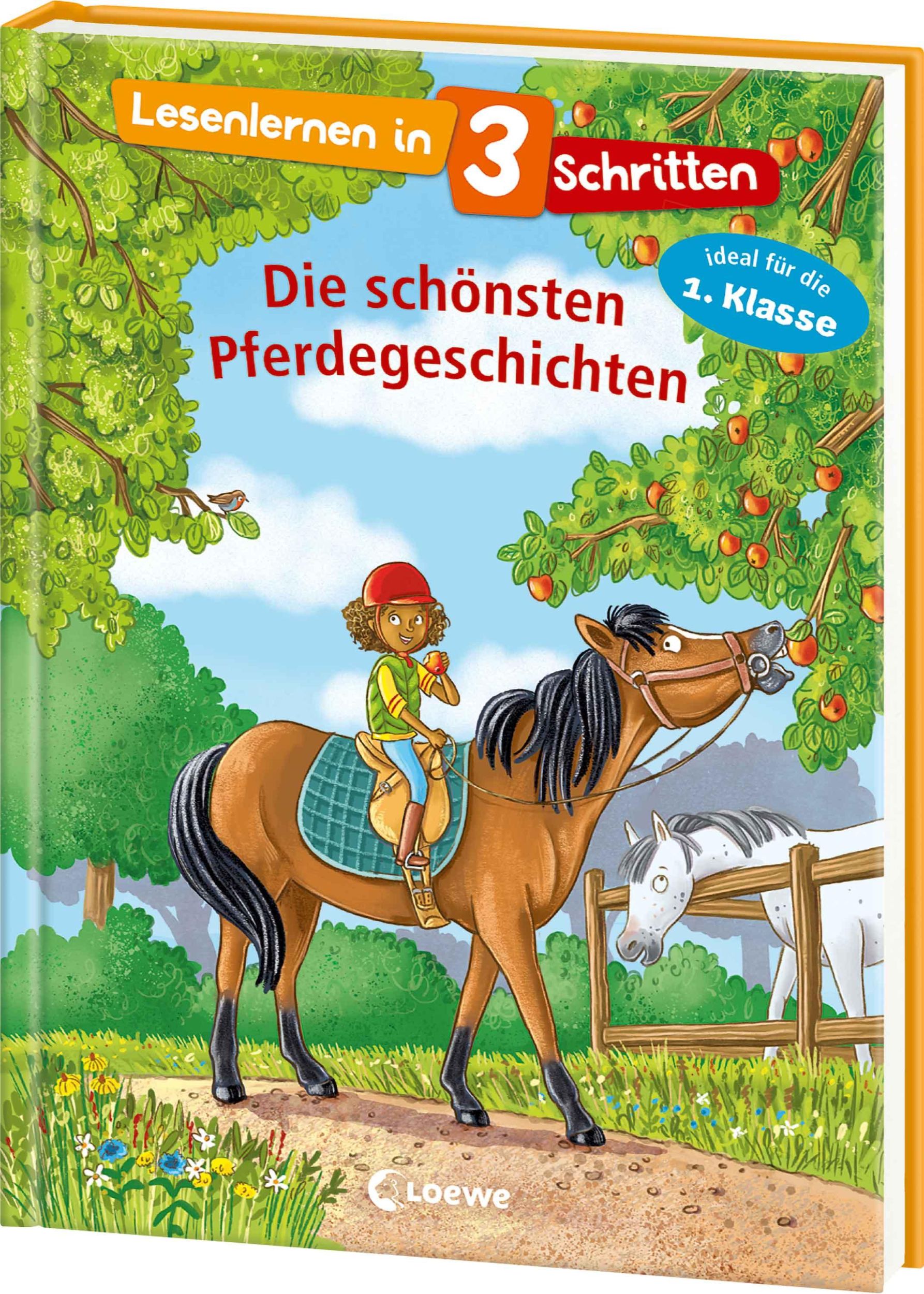 Cover: 9783743221192 | Lesenlernen in 3 Schritten - Die schönsten Pferdegeschichten | Buch