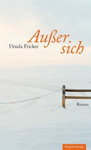 Cover: 9783858694706 | Außer sich | Roman | Ursula Fricker | Buch | 2012 | EAN 9783858694706