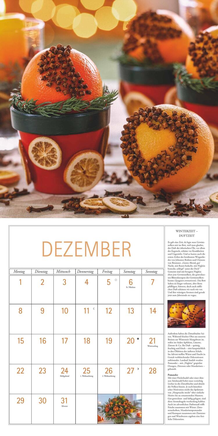 Bild: 4250809652771 | DuMonts Kräuter-Kalender 2025 - Broschürenkalender - mit Texten und...