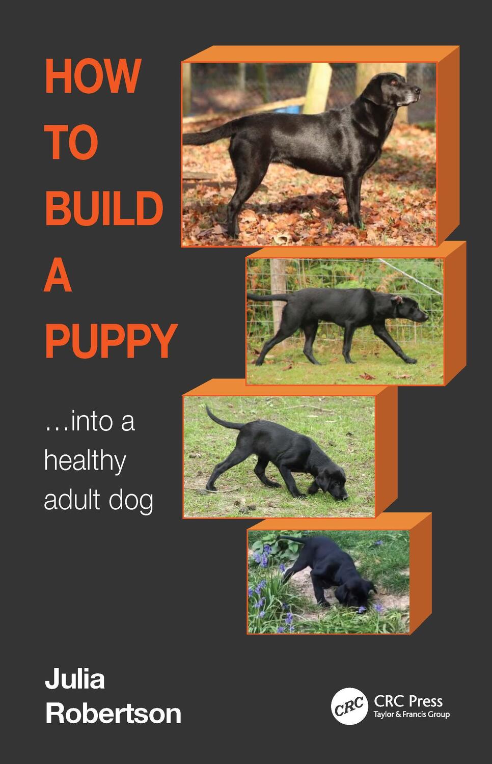 Cover: 9781032215204 | How to Build a Puppy | Into a Healthy Adult Dog | Julia Robertson