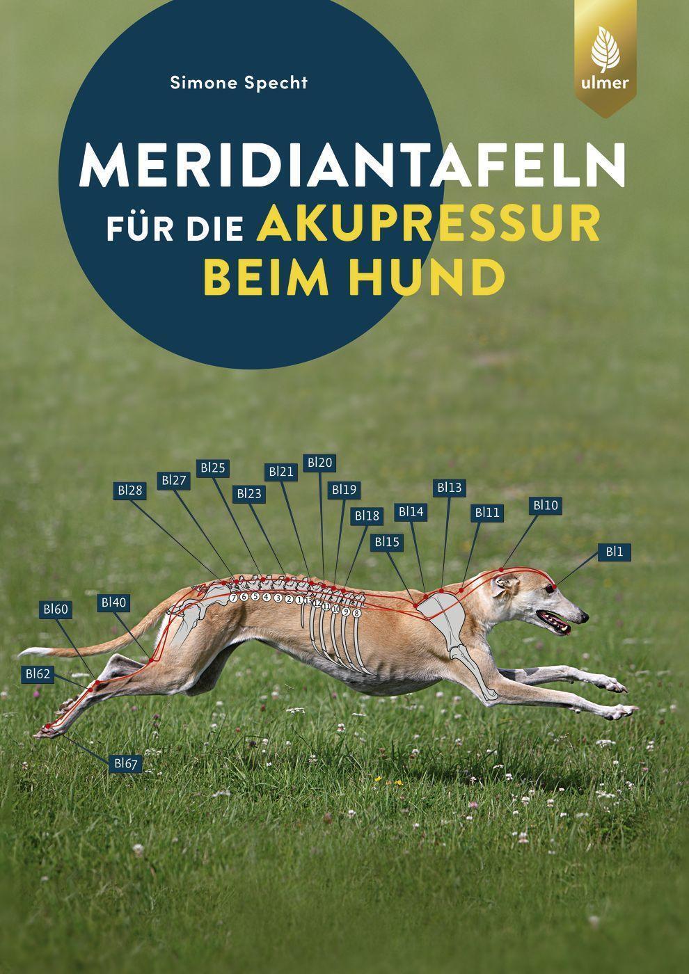 Cover: 9783818614362 | Meridiantafeln für die Akupressur beim Hund | Simone Specht | Buch