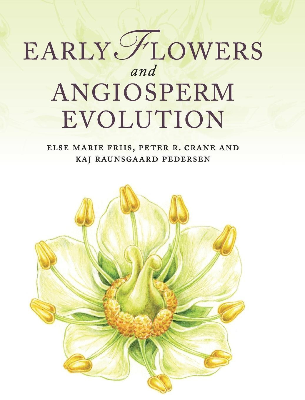 Cover: 9780521592833 | Early Flowers and Angiosperm Evolution | Kaj Raunsgaard Pederson