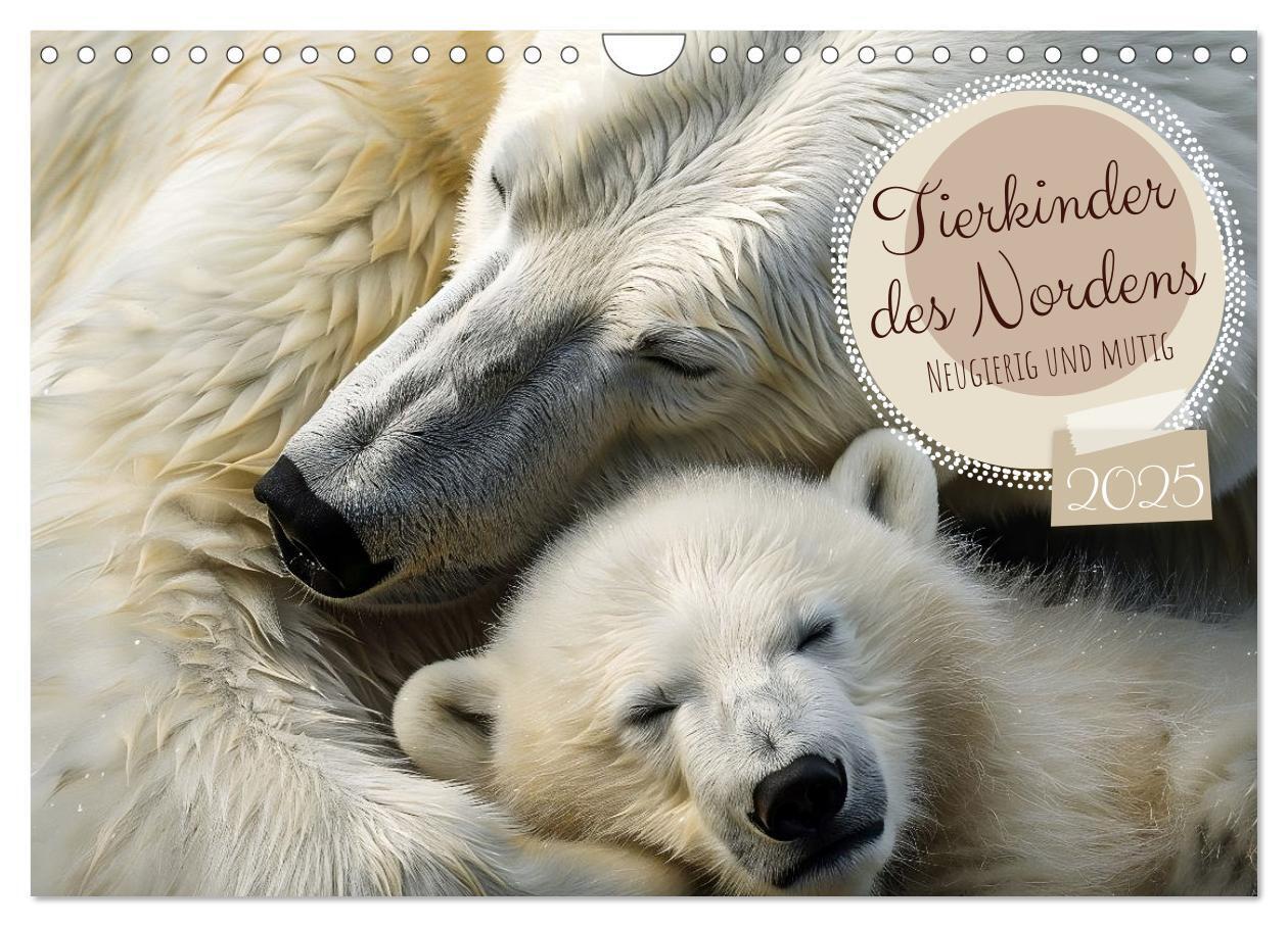 Cover: 9783383789182 | Tierkinder des Nordens (Wandkalender 2025 DIN A4 quer), CALVENDO...