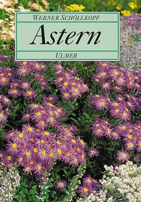 Cover: 9783800165735 | Astern | Werner Schöllkopf | Buch | 168 S. | Deutsch | 1995