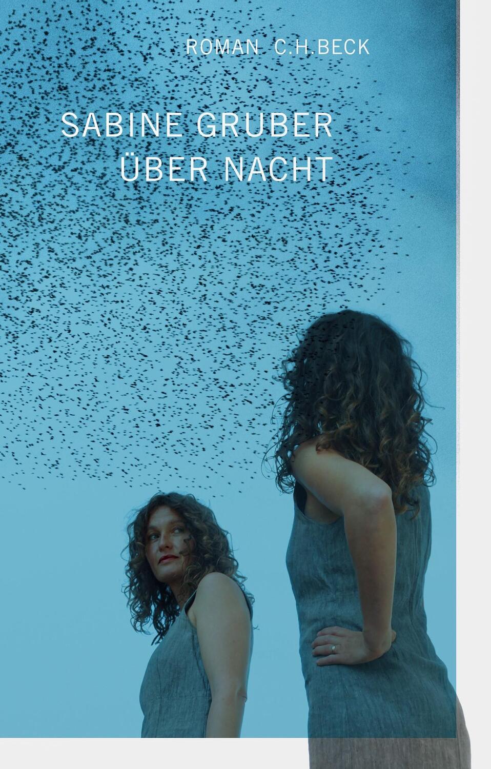 Cover: 9783406811982 | Über Nacht | Roman | Sabine Gruber | Taschenbuch | broschiert | 240 S.