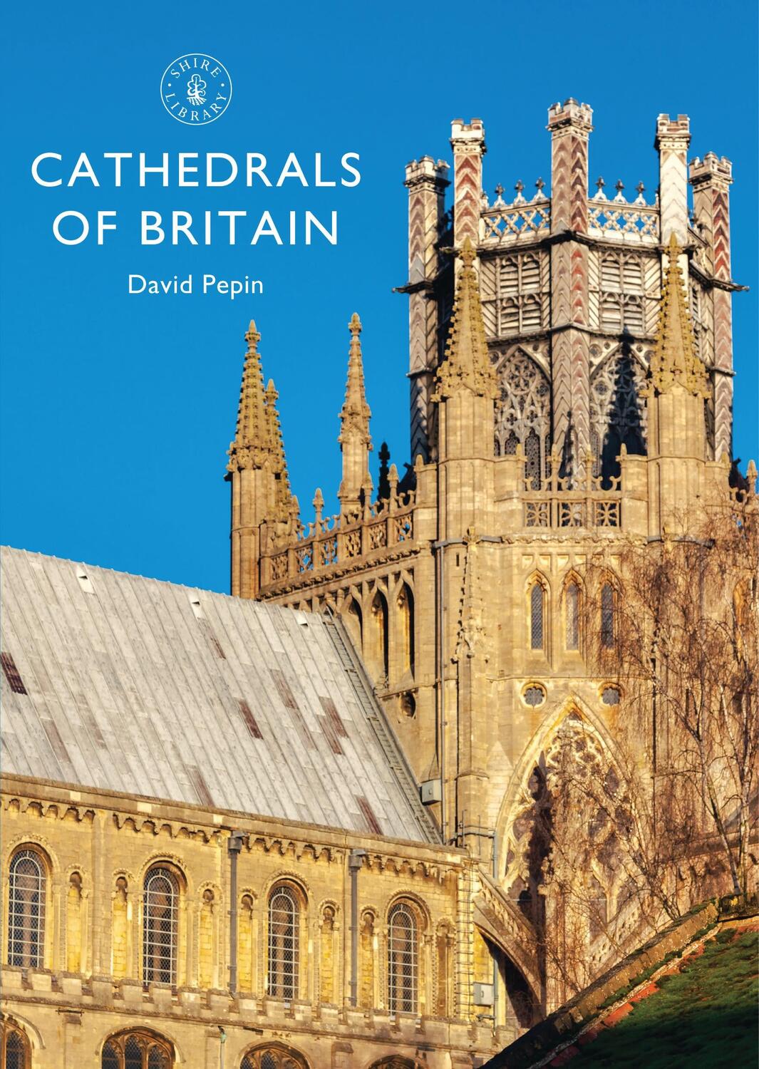 Cover: 9781784420499 | Cathedrals of Britain | David Pepin | Taschenbuch | Shire Library