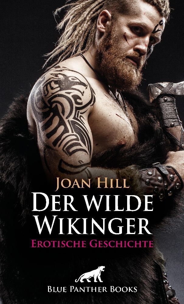 Cover: 9783756167739 | Der wilde Wikinger Erotische Geschichte + 2 weitere Geschichten | Hill